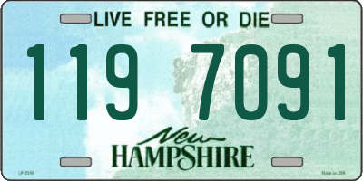 NH license plate 1197091
