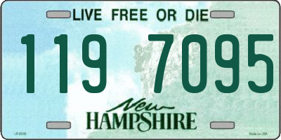 NH license plate 1197095
