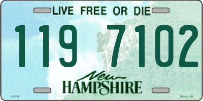 NH license plate 1197102