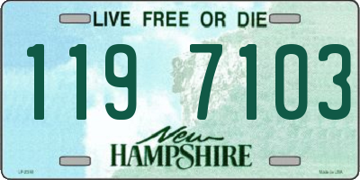 NH license plate 1197103