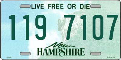 NH license plate 1197107