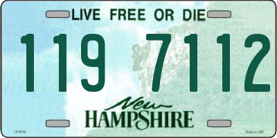 NH license plate 1197112