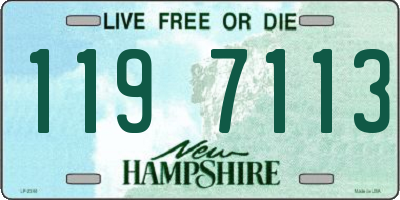 NH license plate 1197113