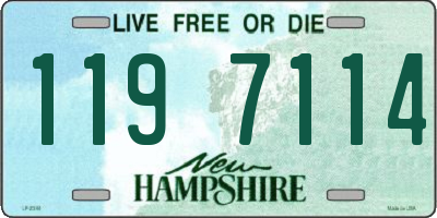 NH license plate 1197114