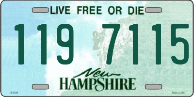 NH license plate 1197115