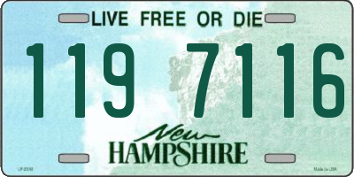 NH license plate 1197116