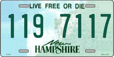 NH license plate 1197117