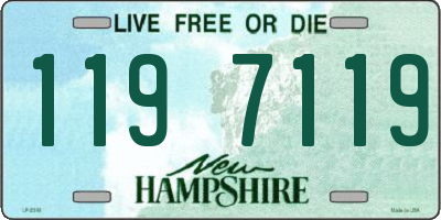 NH license plate 1197119