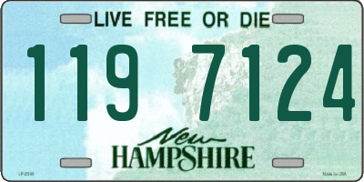 NH license plate 1197124