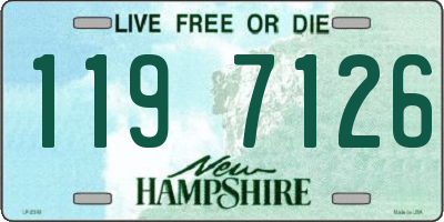 NH license plate 1197126