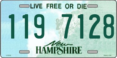 NH license plate 1197128