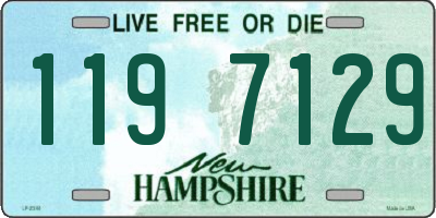 NH license plate 1197129