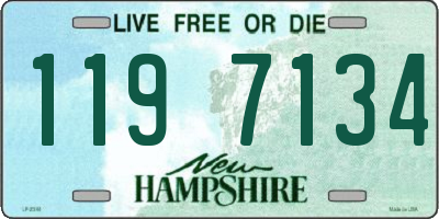 NH license plate 1197134