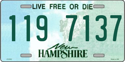 NH license plate 1197137