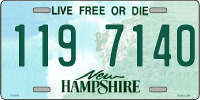 NH license plate 1197140