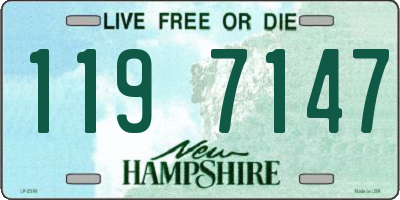 NH license plate 1197147