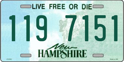 NH license plate 1197151