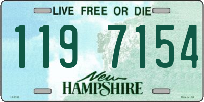 NH license plate 1197154