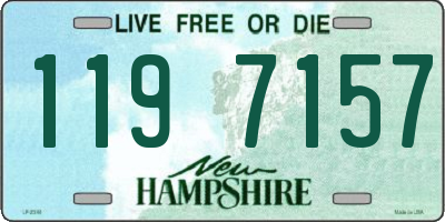 NH license plate 1197157
