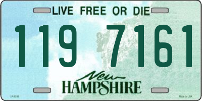NH license plate 1197161