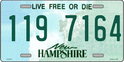 NH license plate 1197164