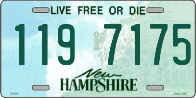 NH license plate 1197175