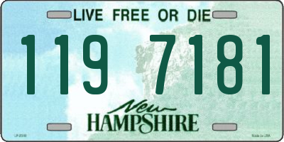 NH license plate 1197181