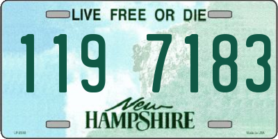 NH license plate 1197183