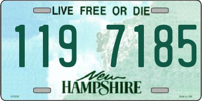 NH license plate 1197185