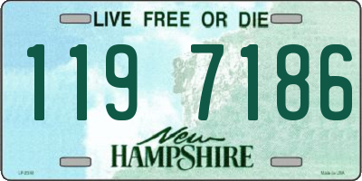 NH license plate 1197186