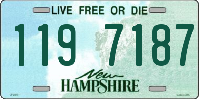 NH license plate 1197187