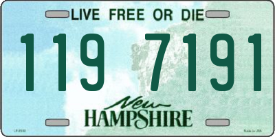 NH license plate 1197191