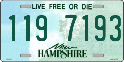 NH license plate 1197193