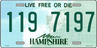 NH license plate 1197197