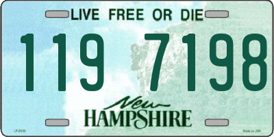 NH license plate 1197198