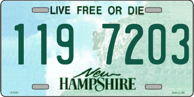 NH license plate 1197203