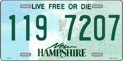 NH license plate 1197207