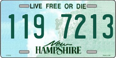 NH license plate 1197213
