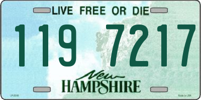 NH license plate 1197217