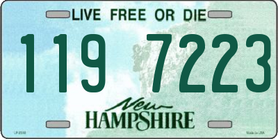 NH license plate 1197223