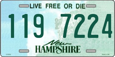 NH license plate 1197224