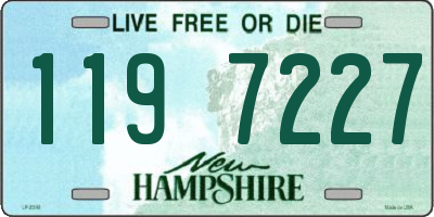 NH license plate 1197227