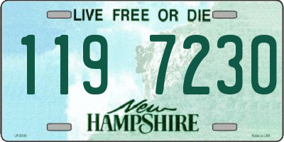 NH license plate 1197230