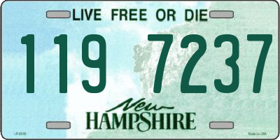 NH license plate 1197237
