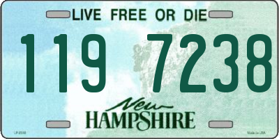 NH license plate 1197238