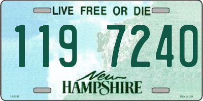 NH license plate 1197240