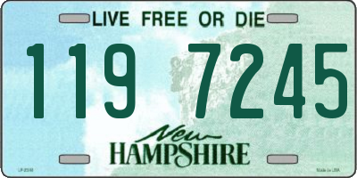 NH license plate 1197245