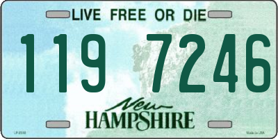 NH license plate 1197246