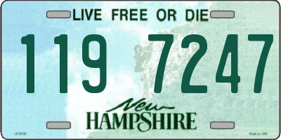 NH license plate 1197247