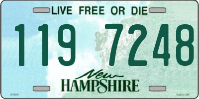 NH license plate 1197248